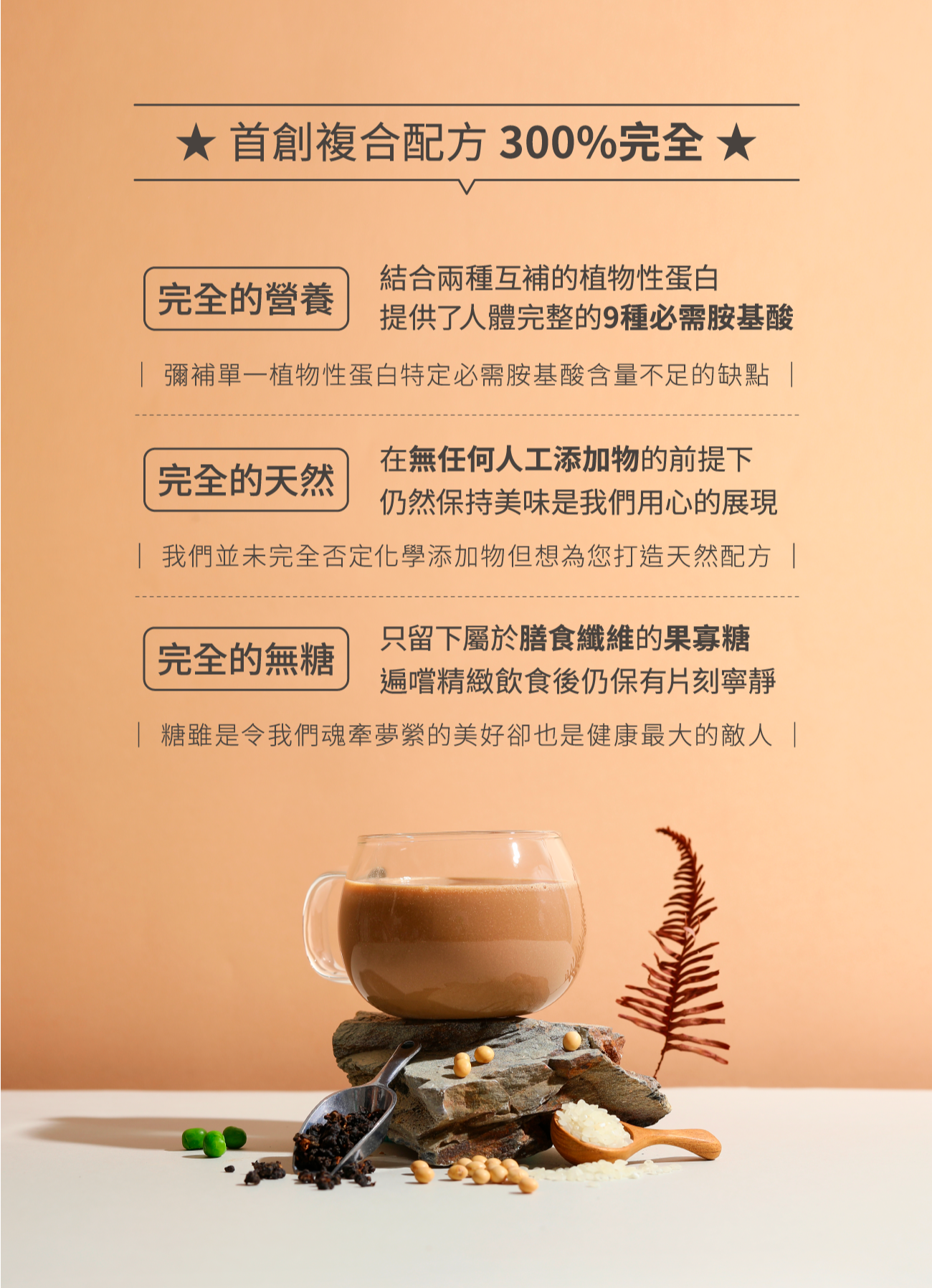 NAKED PROTEIN - 植物蛋白粉 - 紅茶豆漿 40g (10包) 純素